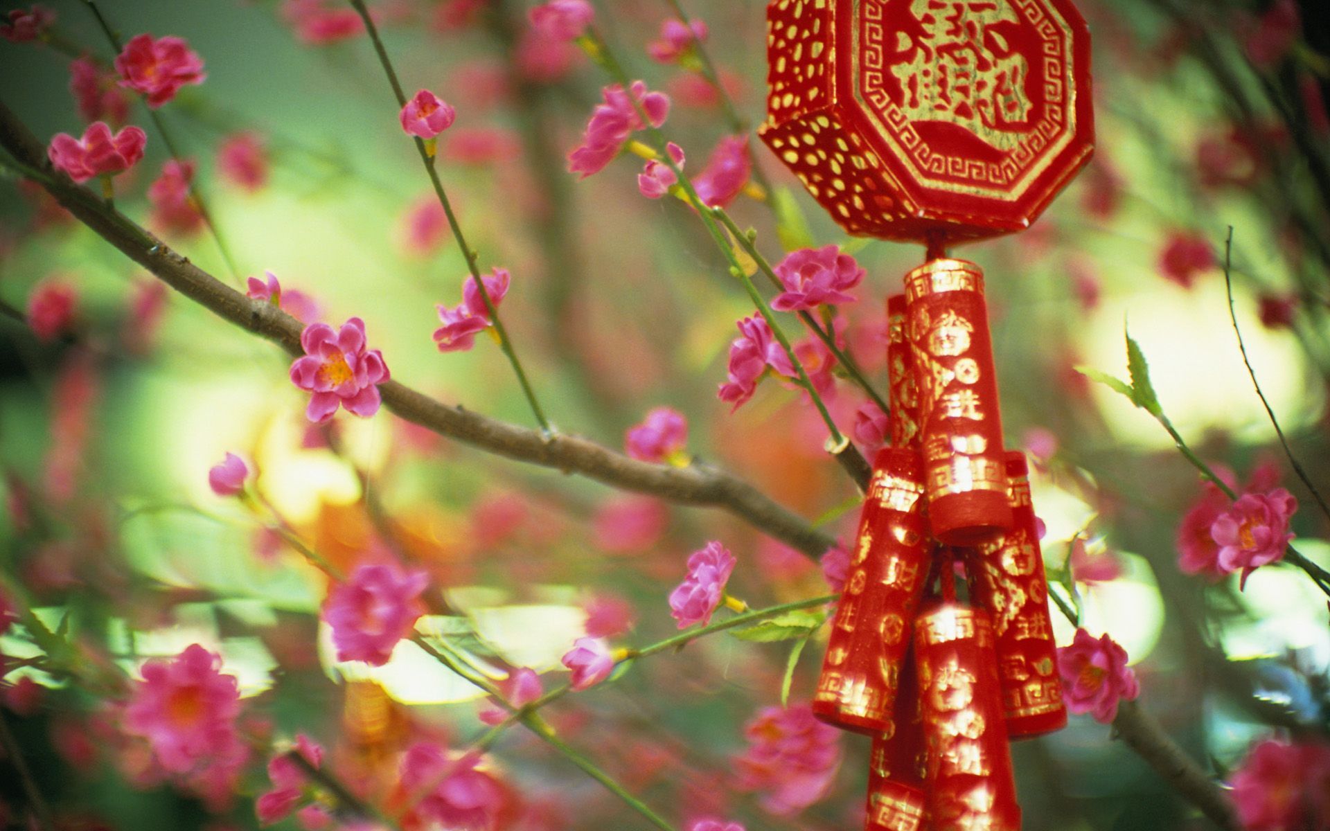 Chinese New Year Flowers Wallpaper - 131072
