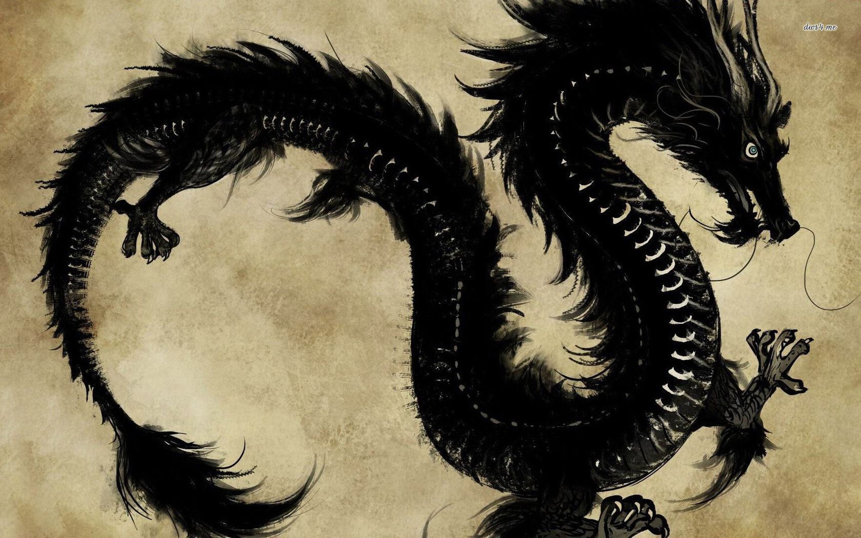 Black Chinese dragon wallpaper - Artistic wallpapers - #19360
