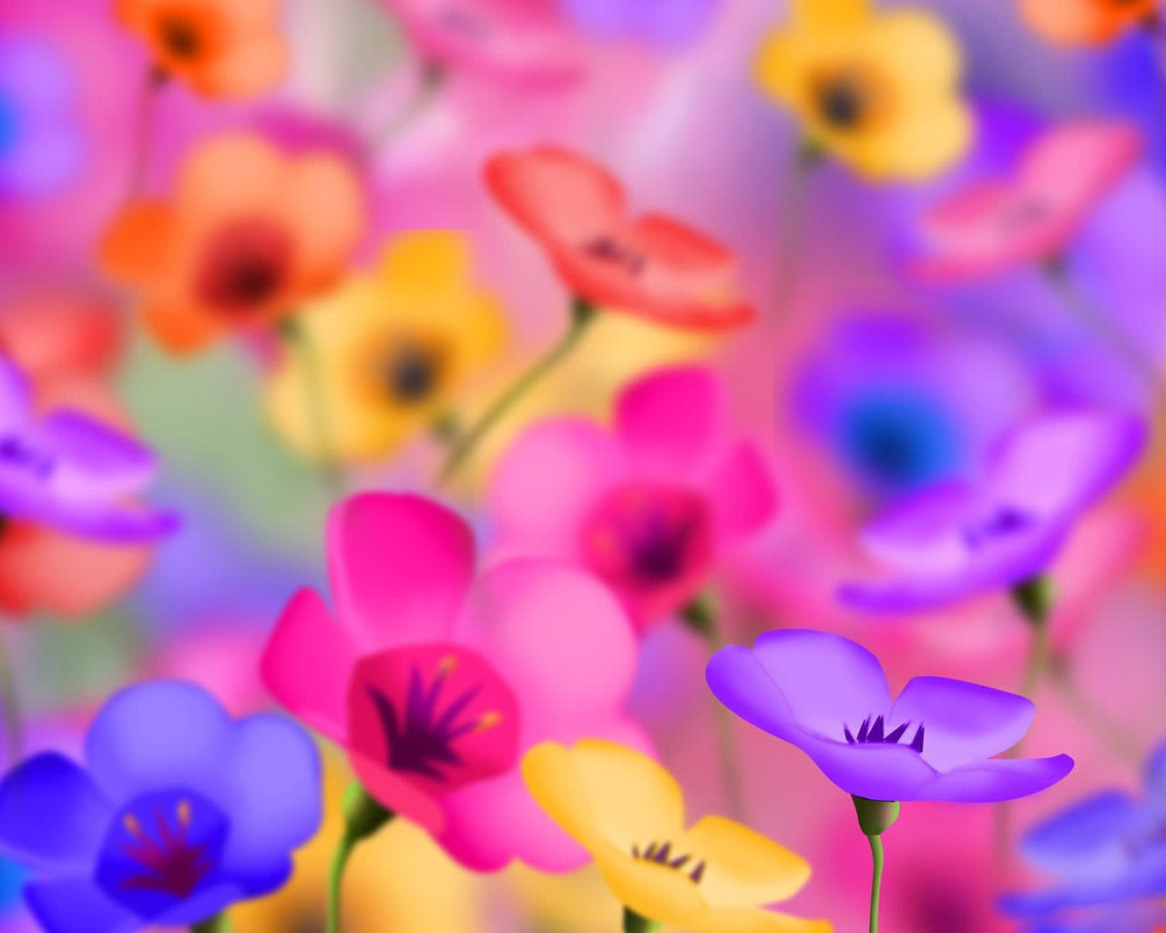 20 Cute Flower Backgrounds Wallpapers FreeCreatives