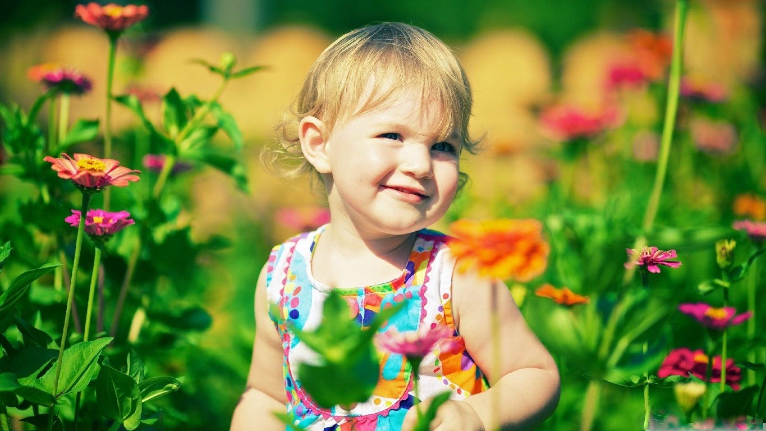 cute baby girl in zinnia flowers hd wallpaper | a2zHDWallpapers
