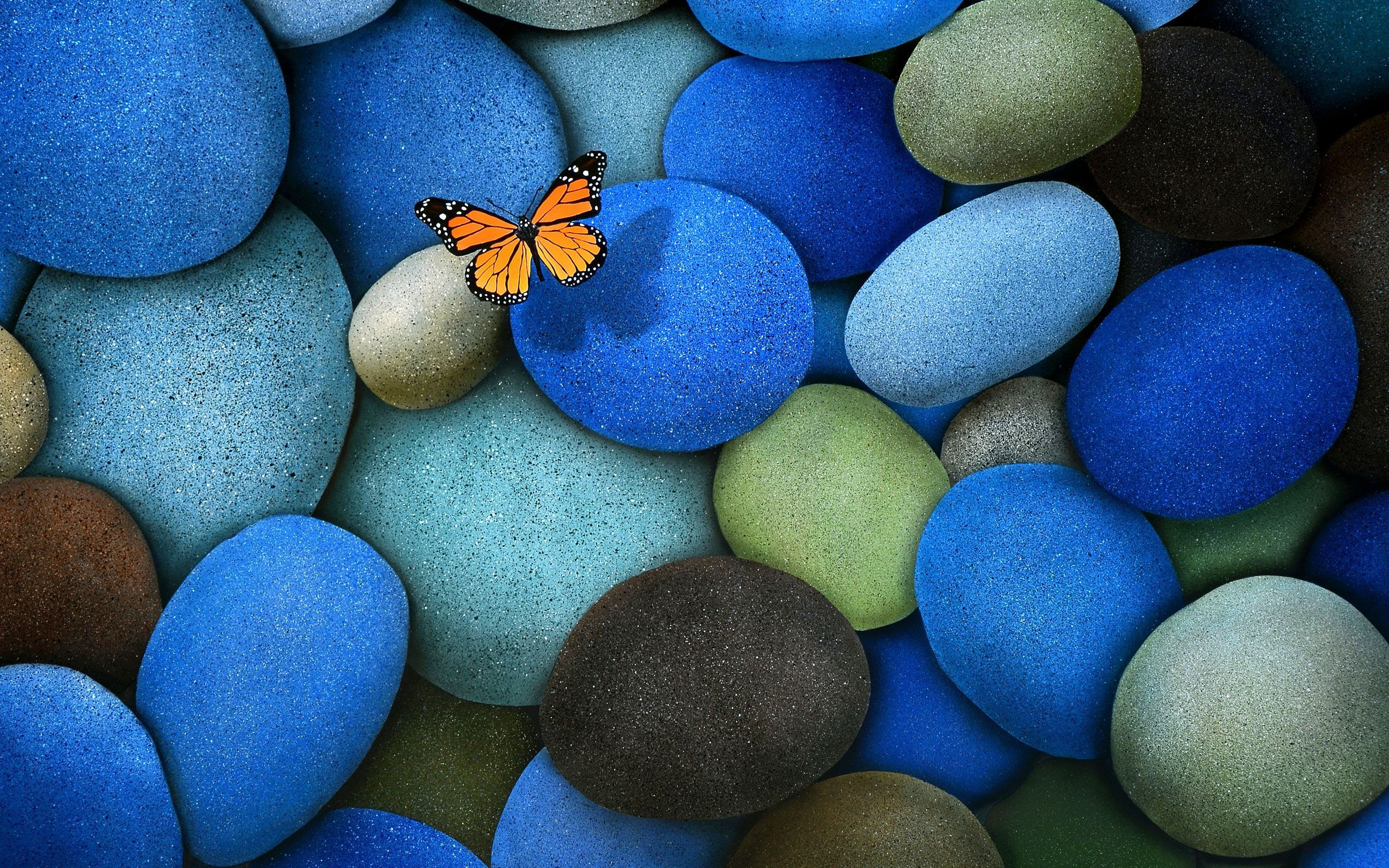 Butterfly Wallpapers Best Backgrounds