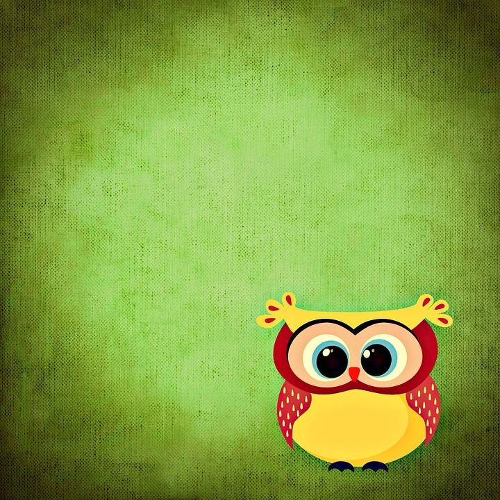 Free illustration Owl, Colorful, Funny, Background - Free Image