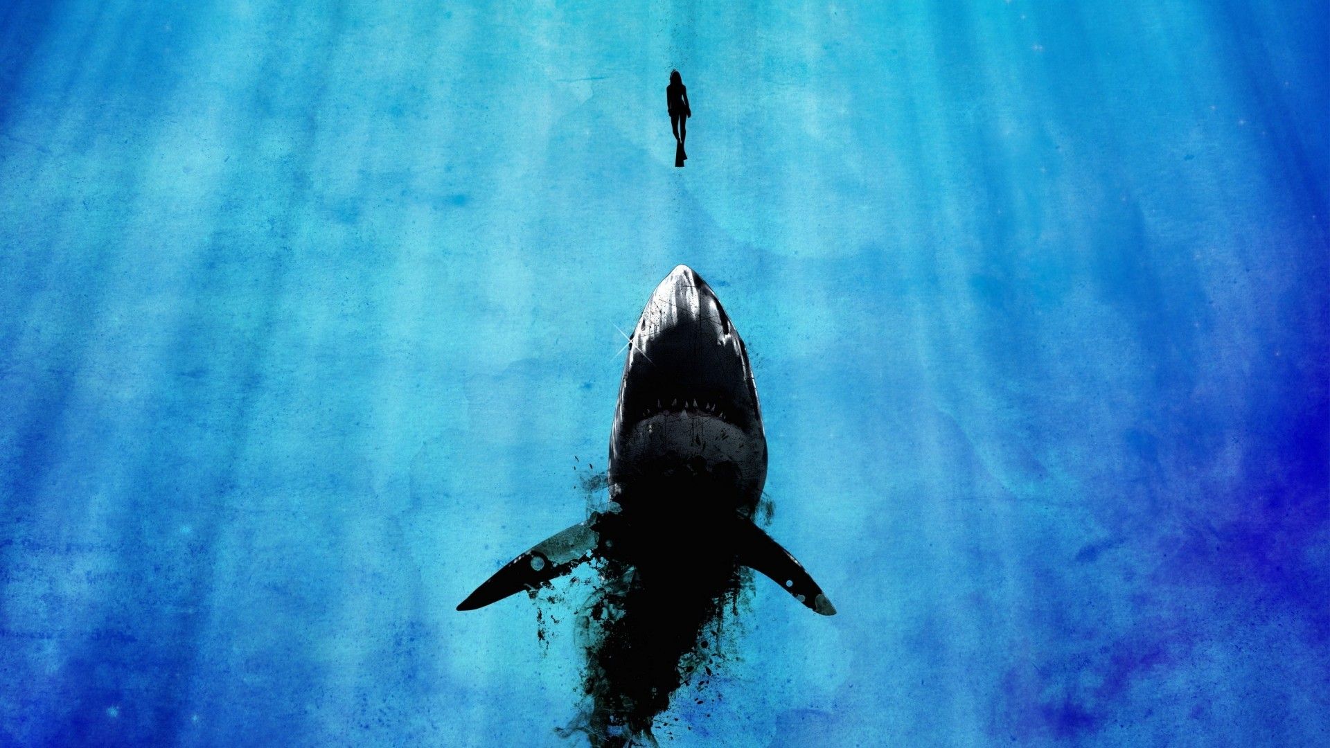 White Shark desktop wallpaper - Very scary - also seen in movies