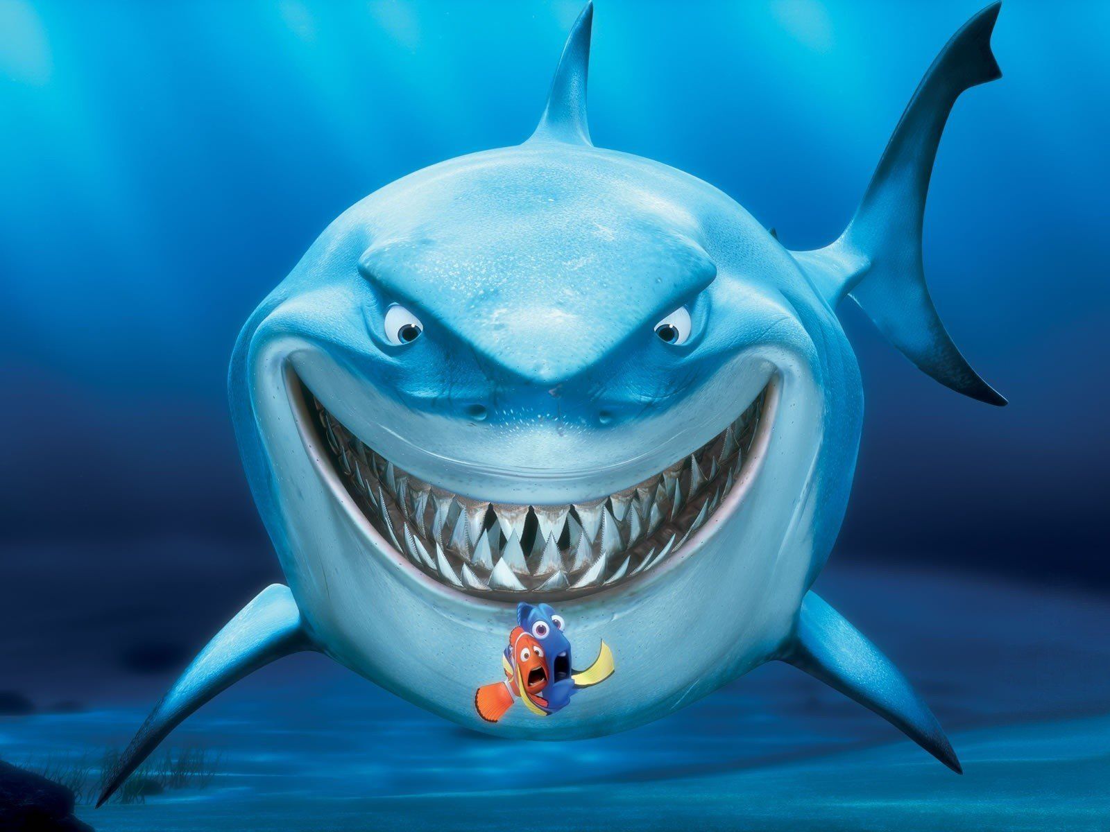 Finding Nemo sharks wallpaper | 1600x1200 | 335208 | WallpaperUP