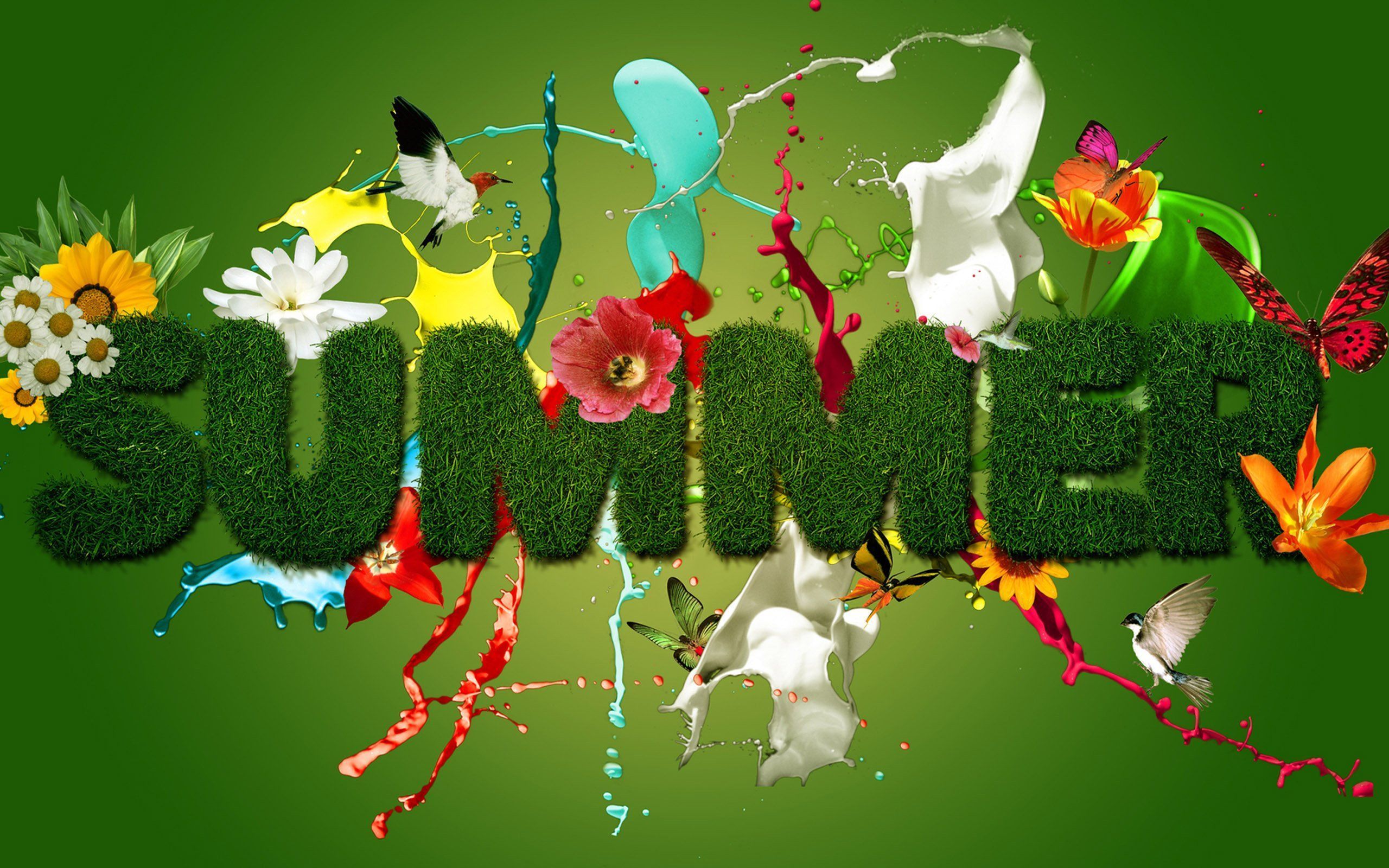 Beautiful and Latest HD Summer Wallpapers - Newslivez