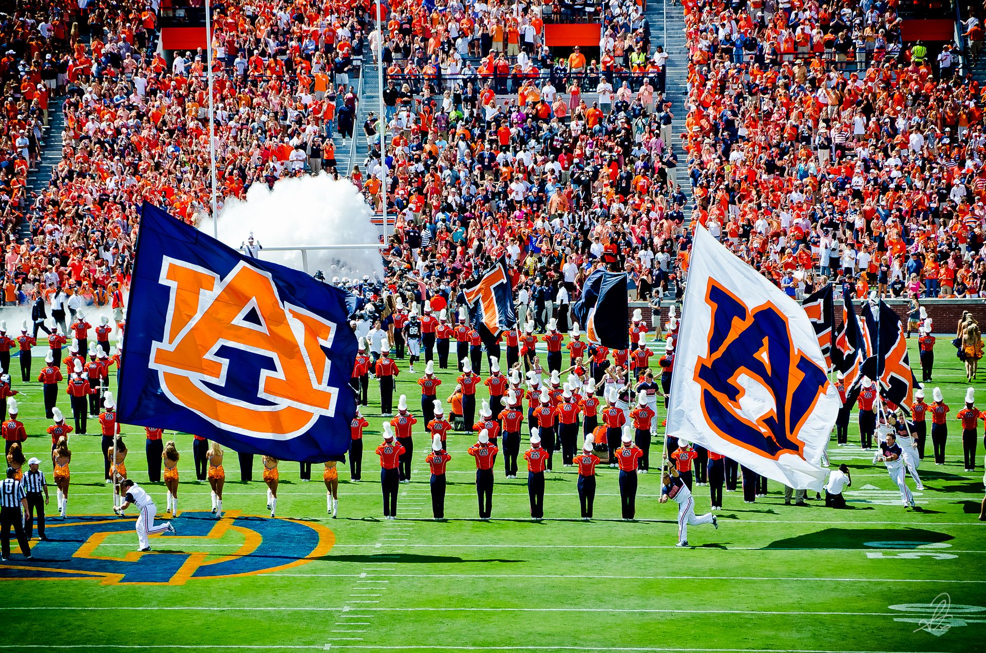 Auburn Tigers WallpapersWallpaper of Insect and Animals ...