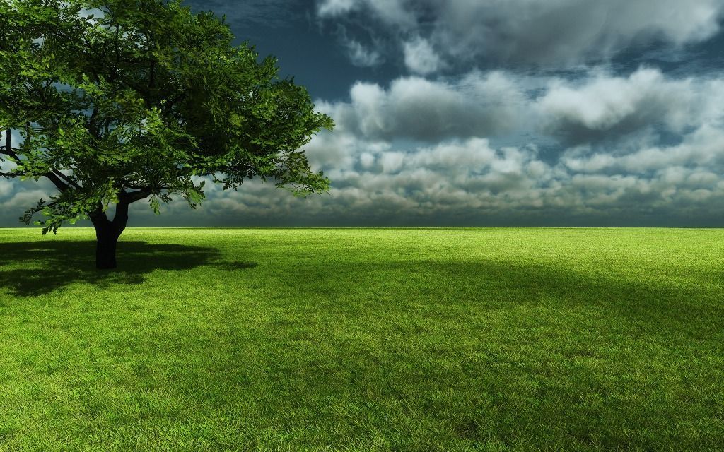 Green Grass Nature Background #4238651, 1920x1080 | All For Desktop