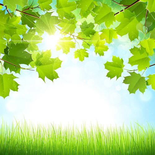 Nature background TEMPLATES AND THEMES