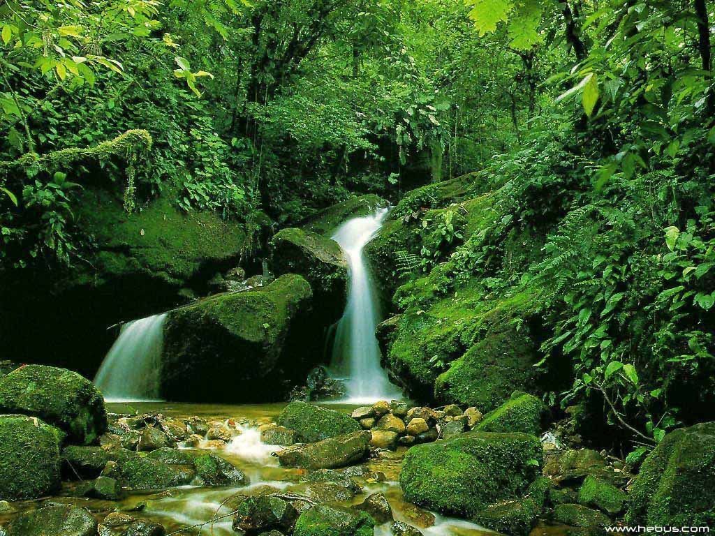 Yournice and nature background natural waterfalls photos - (#32672 ...