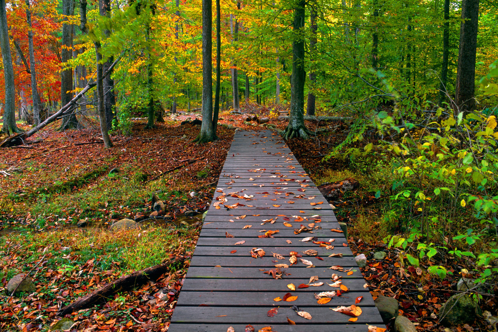 Fall Nature Desktop Wallpaper | HD Pix