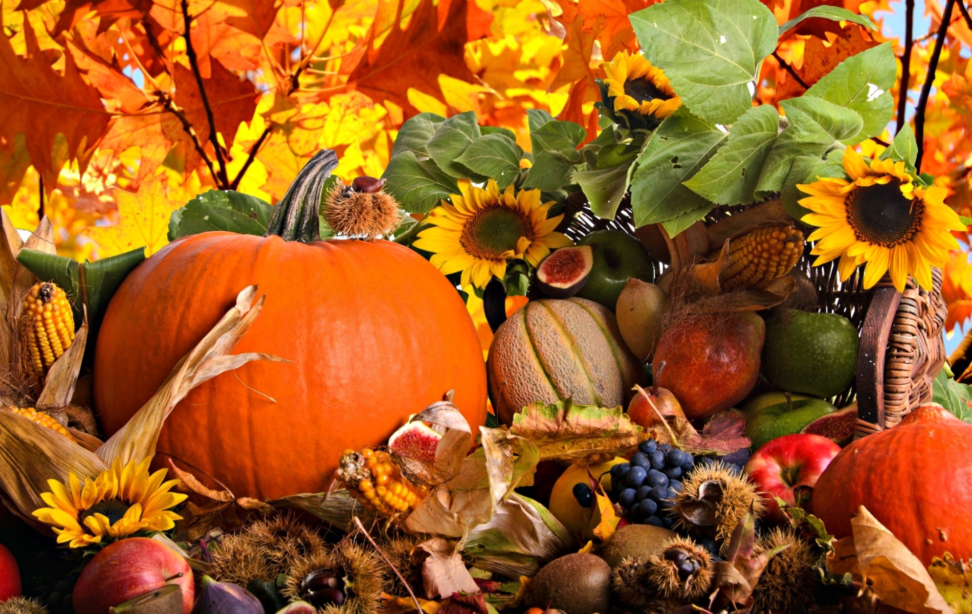 Fall Harvest Free Desktop Wallpaper | HD Pix