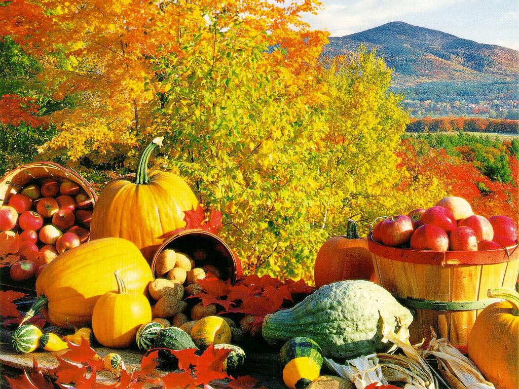 Fall Harvest Free Desktop Wallpaper | HD Pix