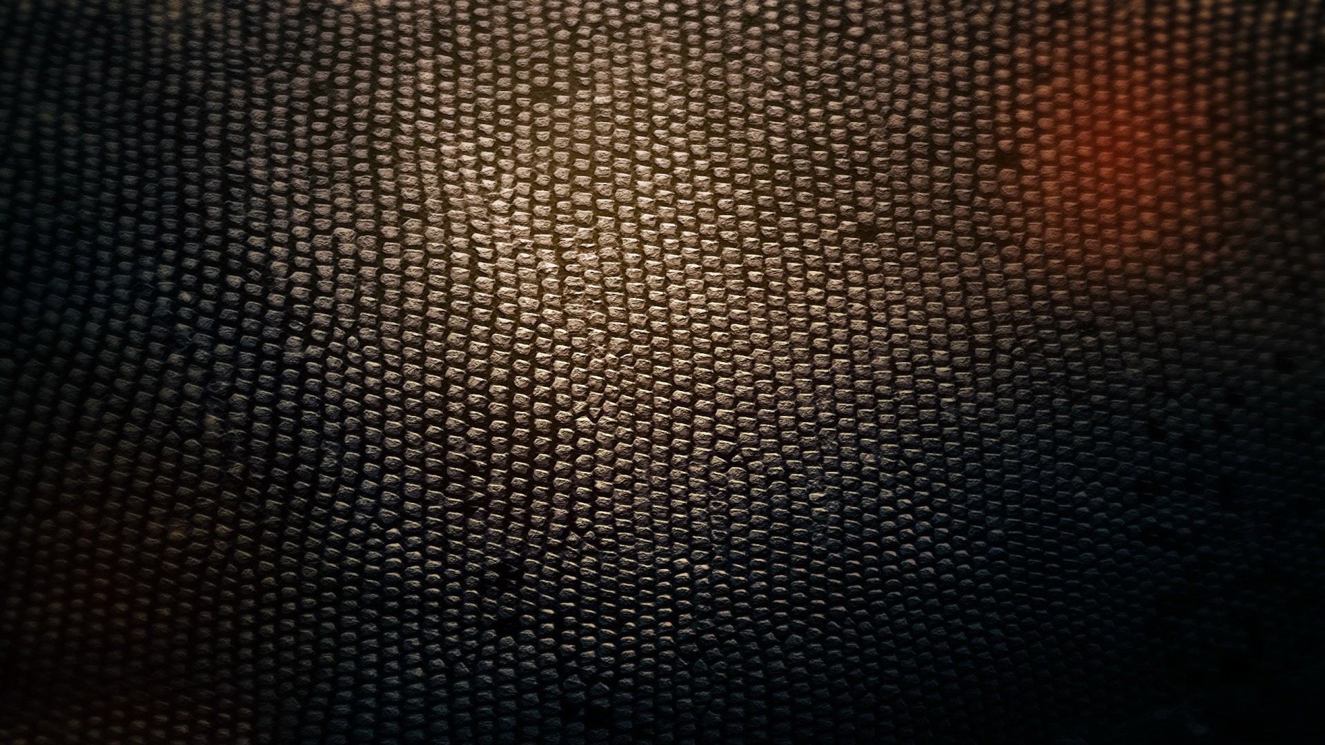 Snake skin, photography, 1920x1080 HD Wallpaper and FREE Stock Photo