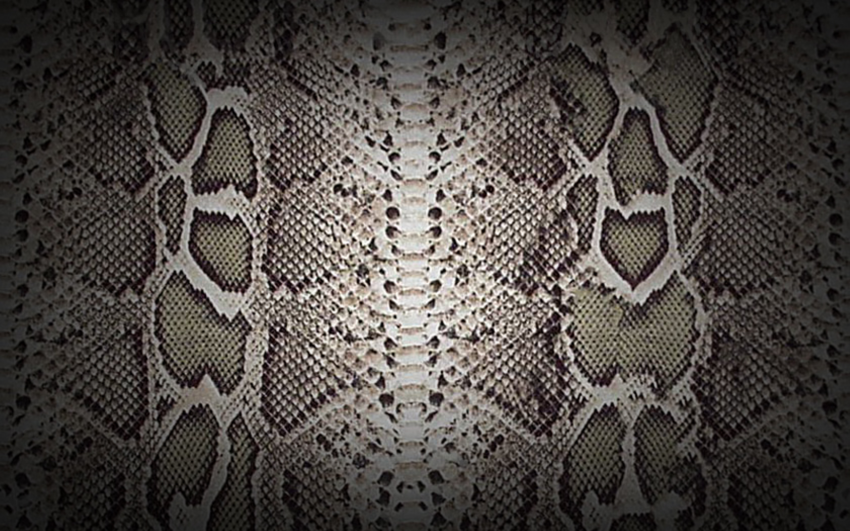 Textures - Snake Skin - wide by Loo Lee on DeviantArt