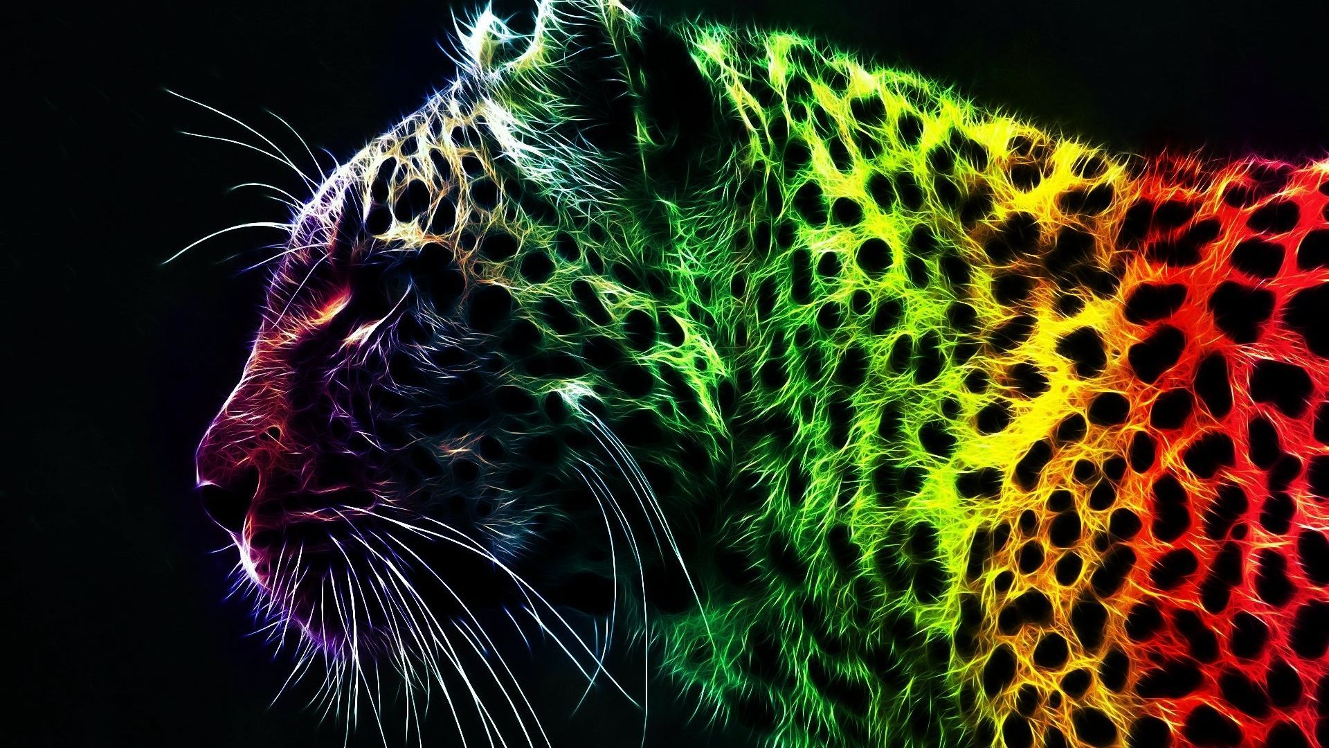 Colourful Abstract Tiger Wallpaper HD