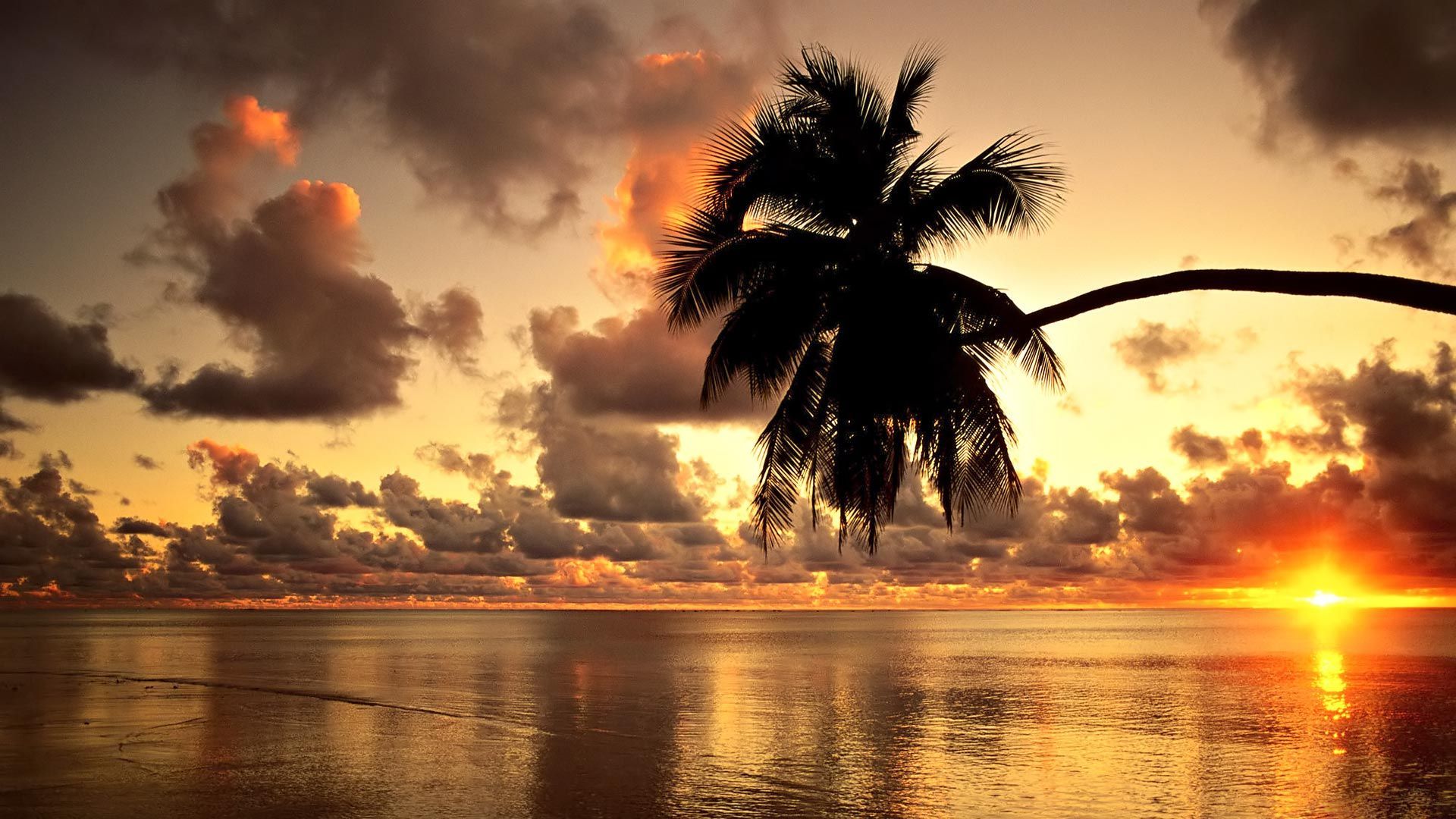 Hawaii-Beach-Wallpaper-HD.jpg