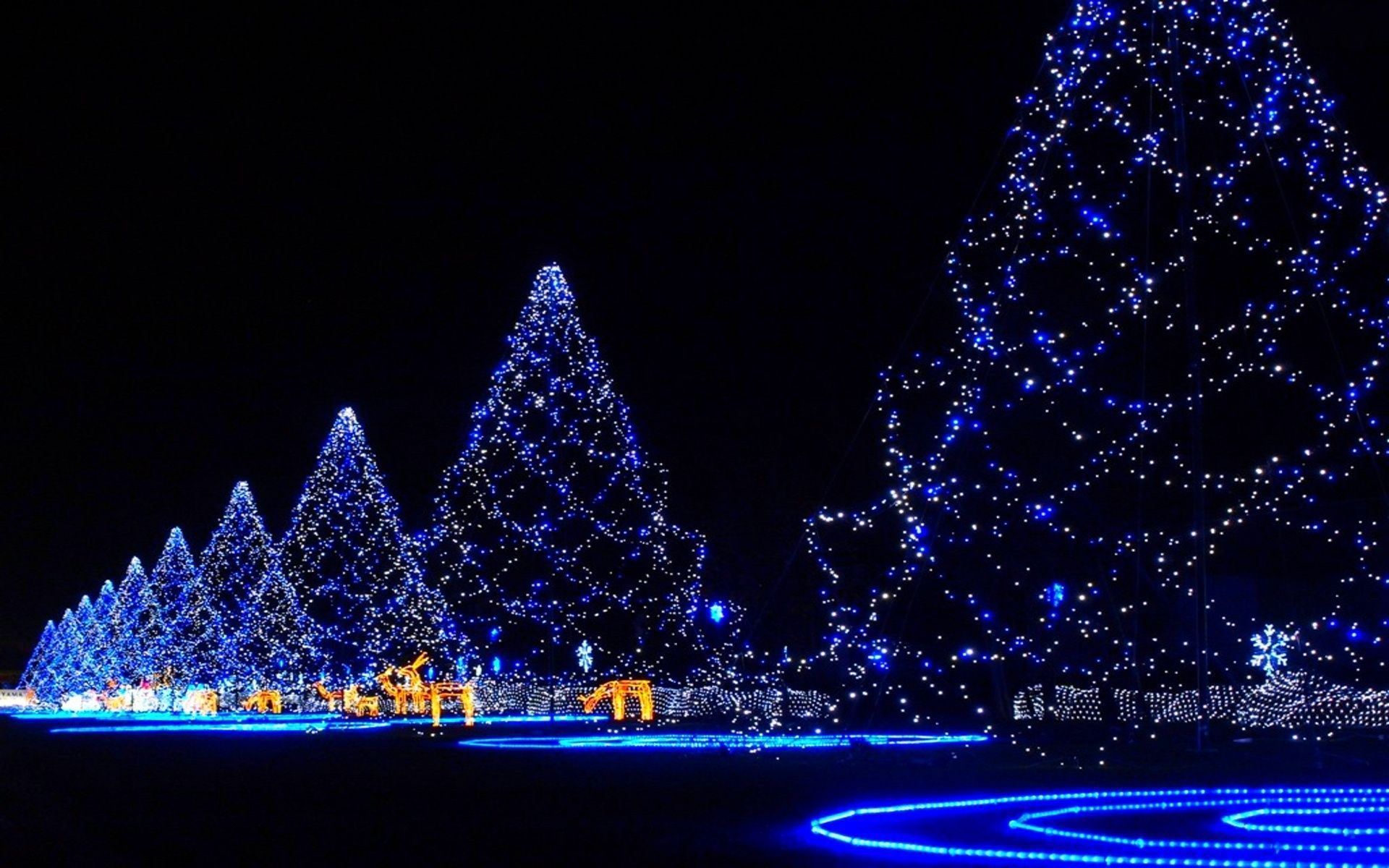 Christmas Lights Wallpapers HD Pictures | One HD Wallpaper ...