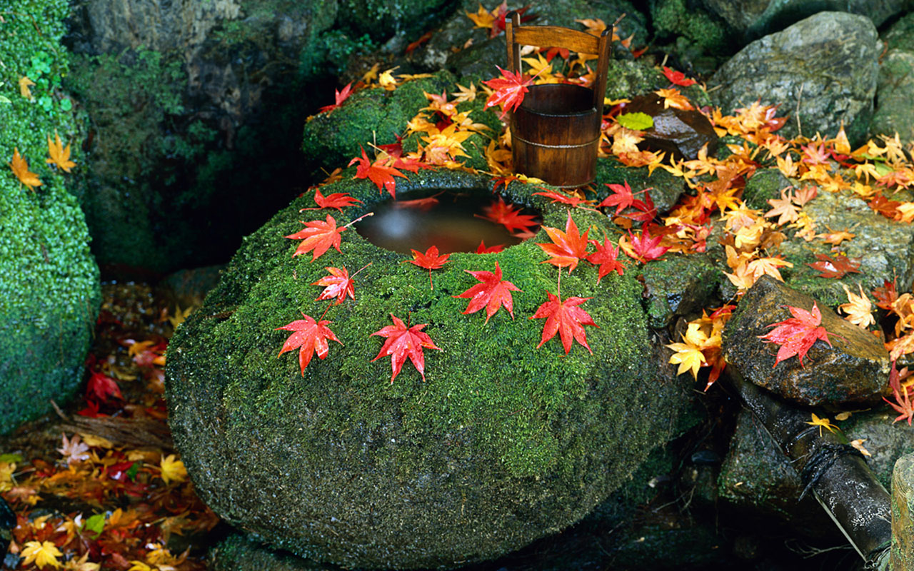 Japanese autumn scenery wallpaper 2