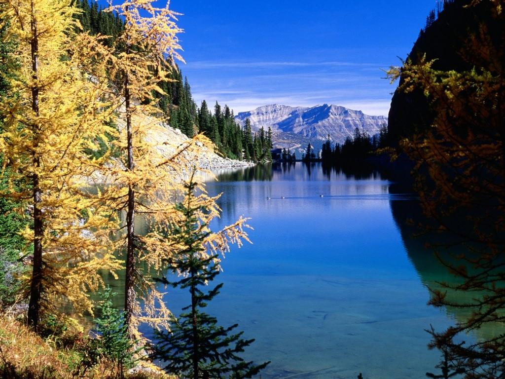 Amazing Scenery Wallpapers HD - Android Apps on Google Play