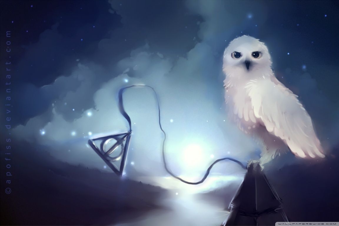 White Owl Painting HD desktop wallpaper Widescreen High resolution