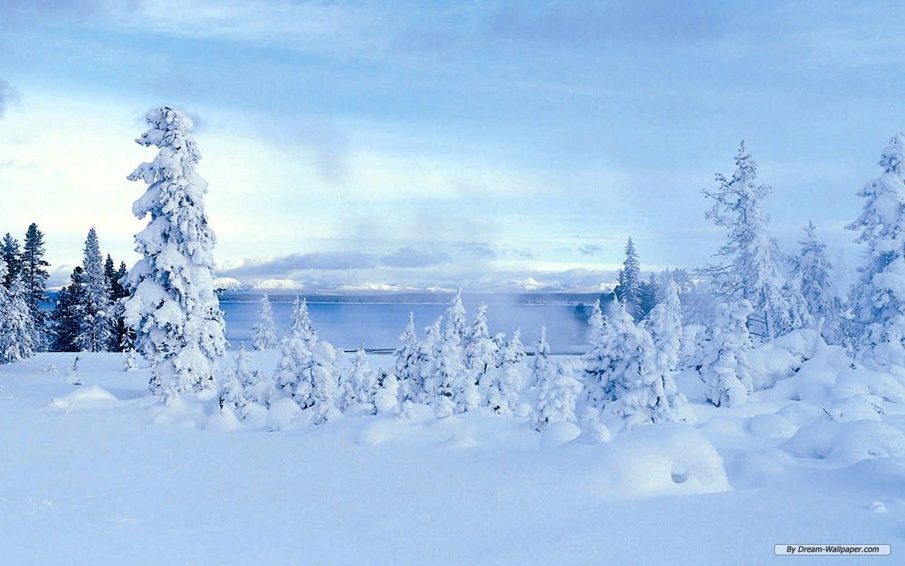 Free Wallpaper - Free Nature wallpaper - Winter Wonderland 9