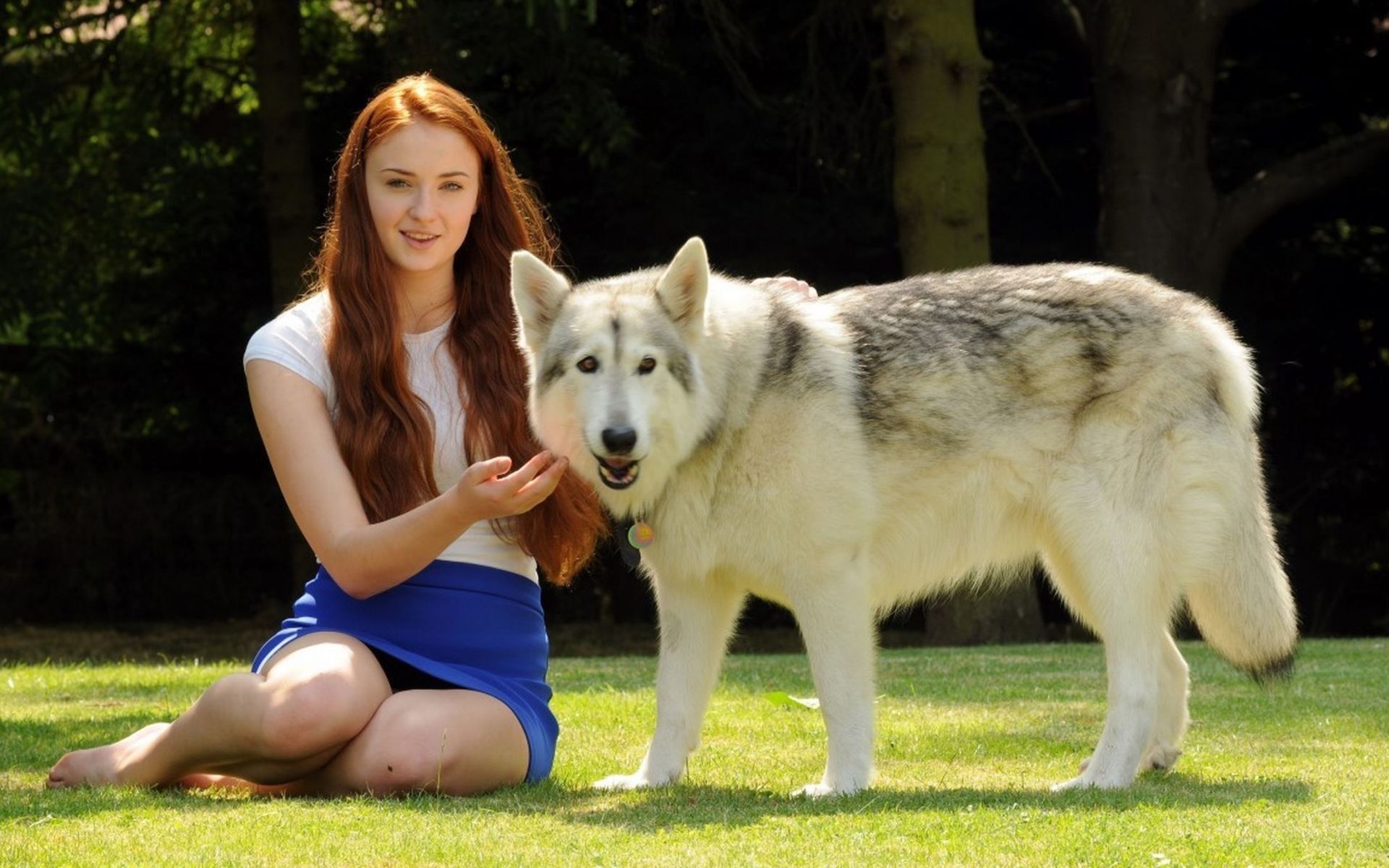 Sophie turner (actress) direwolf wolves wallpaper | AllWallpaper ...