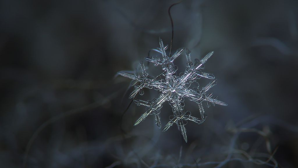 Rigel, snowflake desktop wallpaper | Flickr - Photo Sharing!