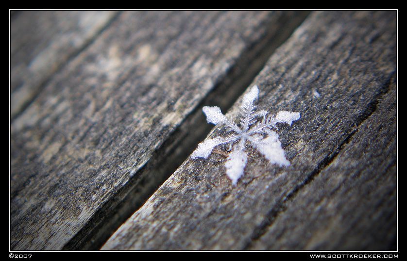 cidkev: snowflake wallpaper hd