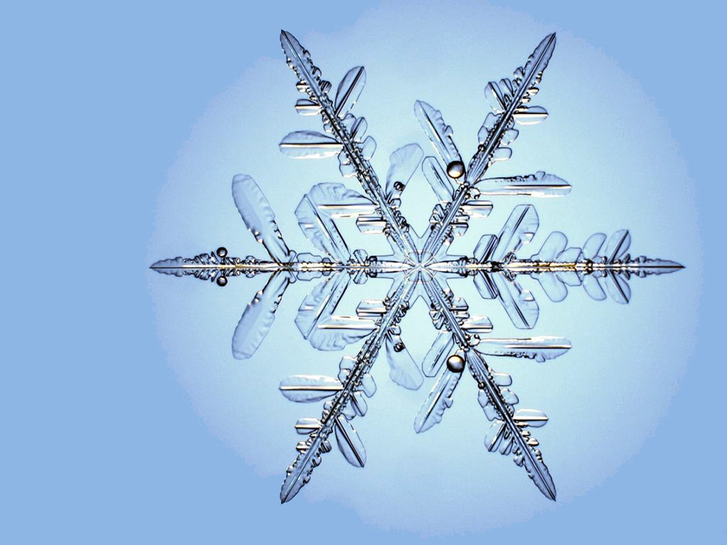 Desktop Wallpaper · Gallery · Miscellaneous · Snowflake | Free ...
