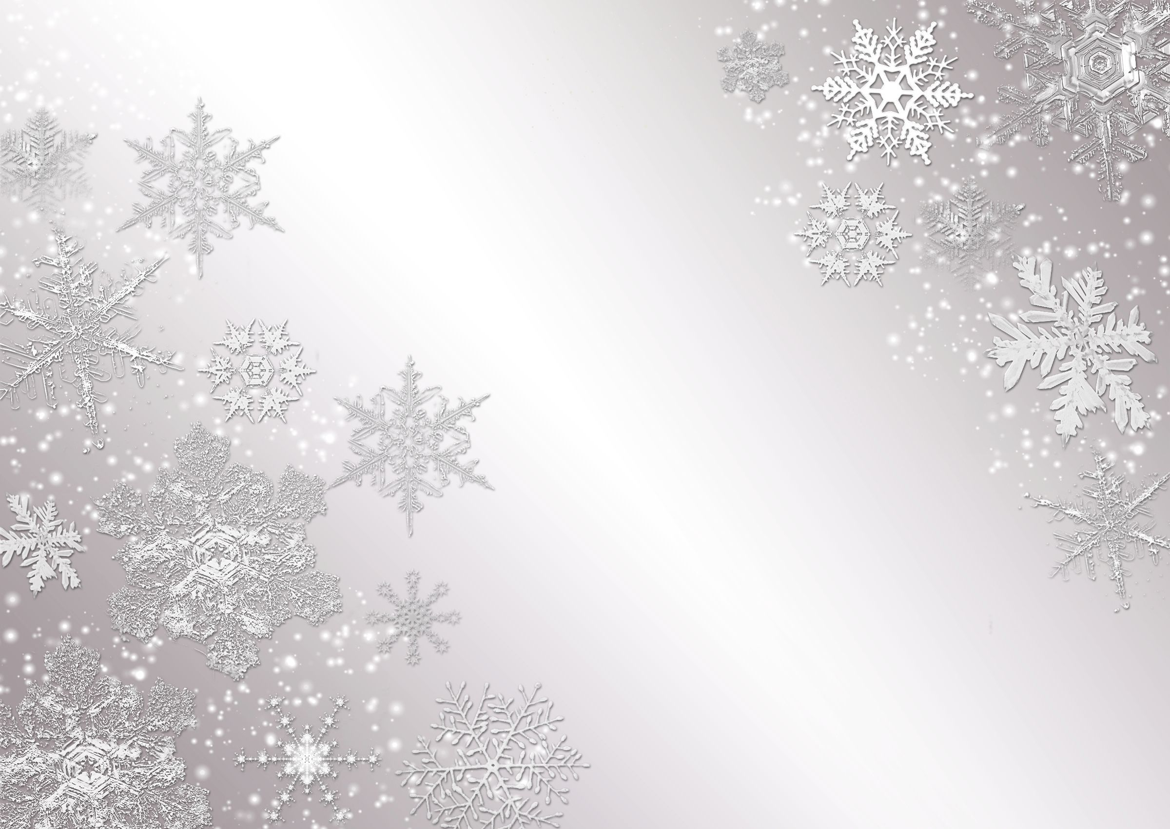 White Snowflakes Wallpaper Background #40j • Other at ngepLuk.com