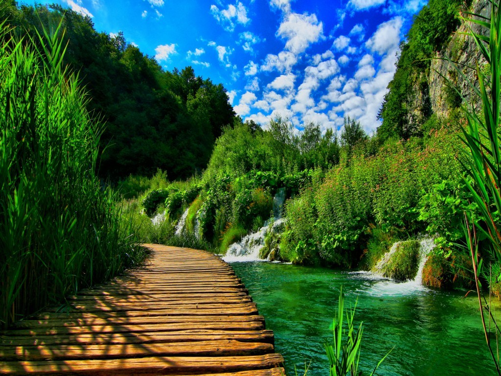 Nature Live Wallpaper HD Free Download For Laptop Nature Live Wallpaper HD Free Download For Laptop