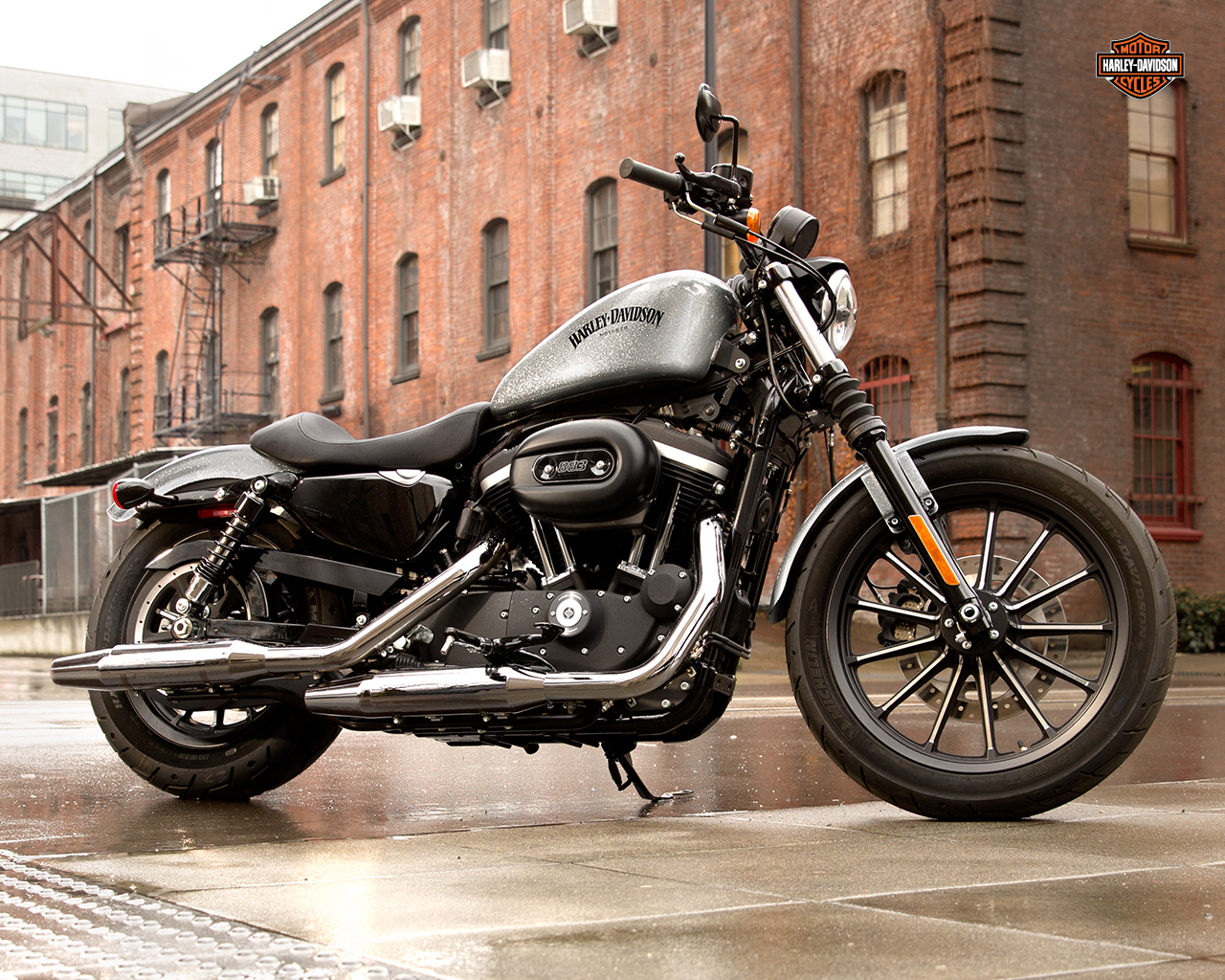 2015 Sportster Iron 883 Bobber Motorcycle Harley Davidson USA