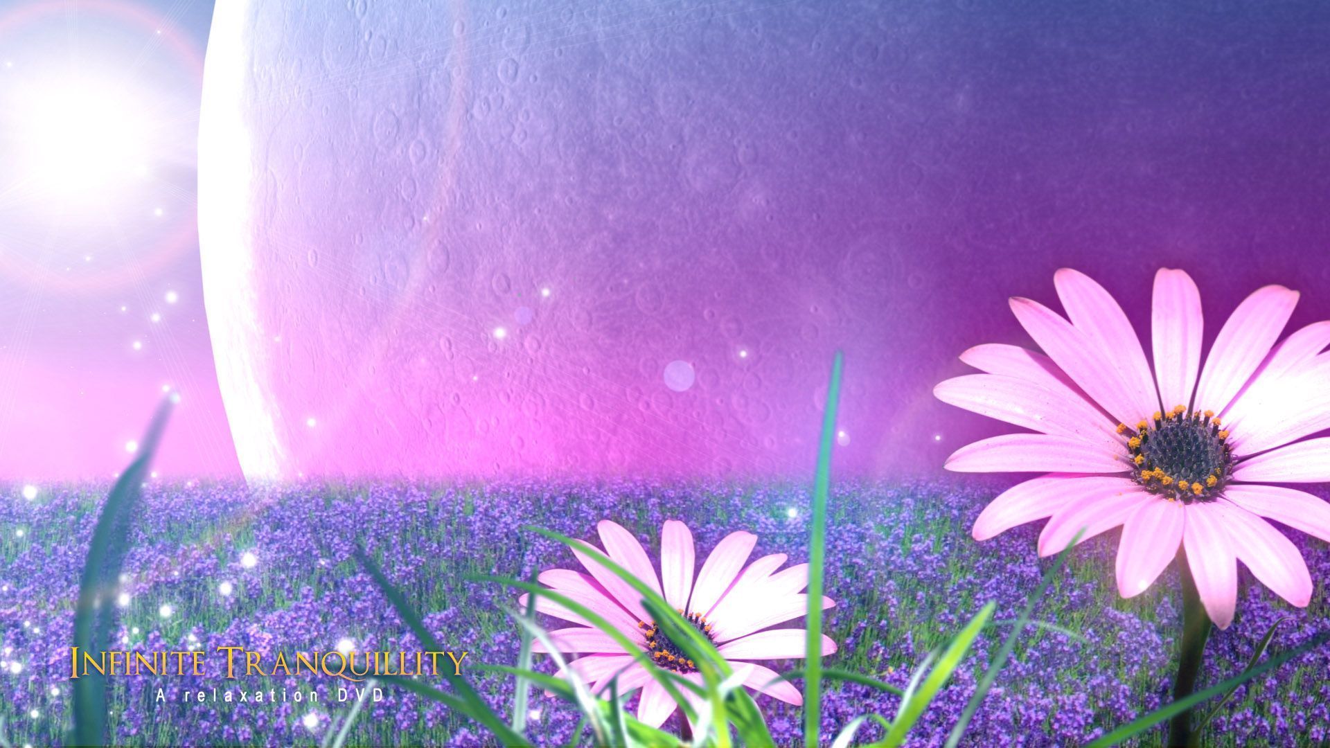 Full HD Flowers Backgrounds