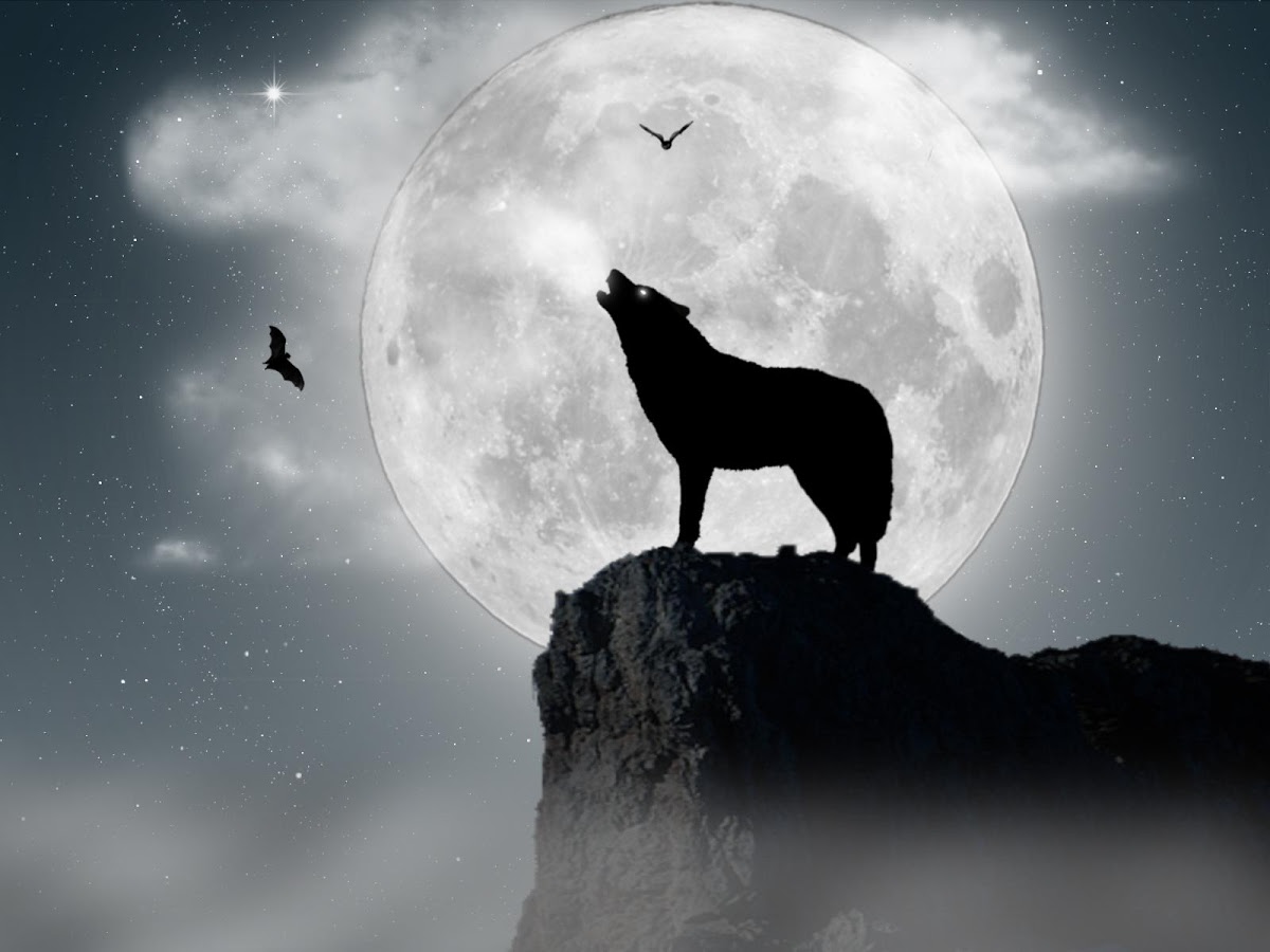 Moon Wolf Live Wallpaper - Android Apps on Google Play