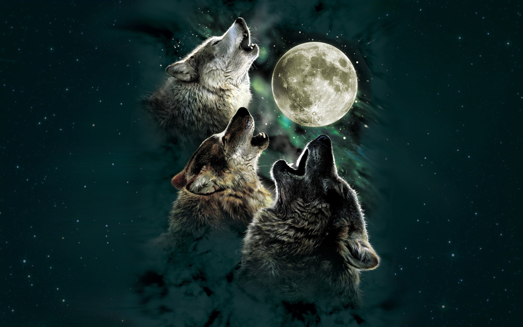 Desktop hd full moon wolf wallpaper