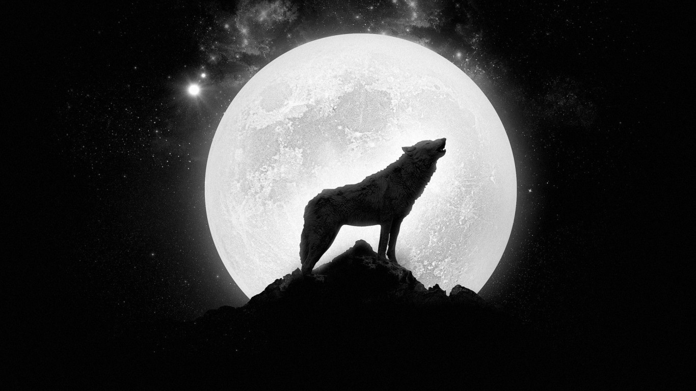 Image - Wolf howling at the full moon wallpaper - Unsolved