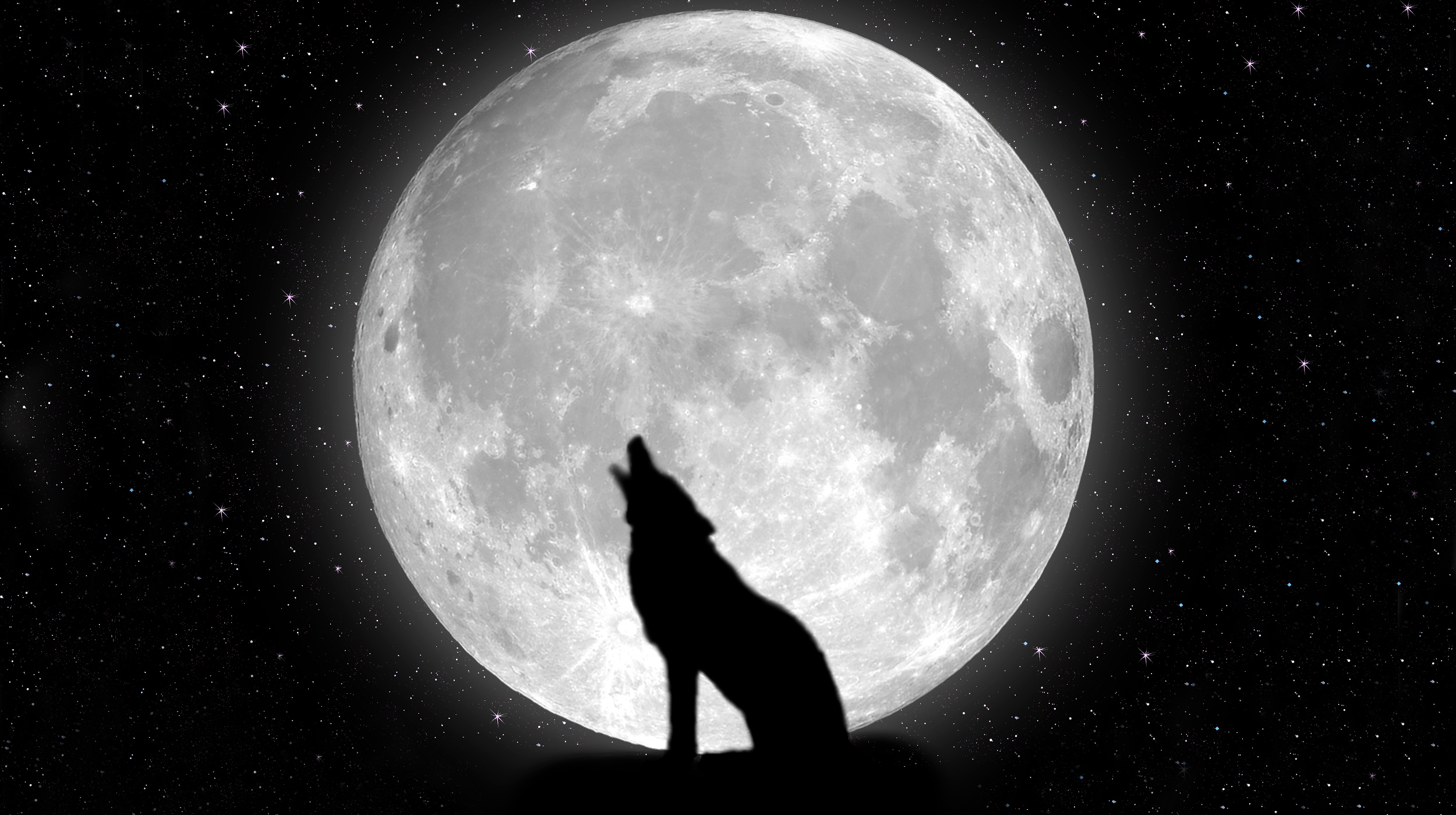 moon Night stars Wolf HD Wallpaper