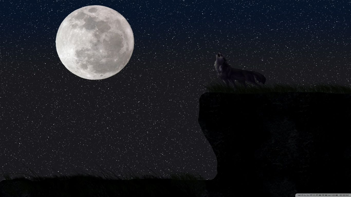 Wolf and Moon HD desktop wallpaper : Widescreen : High Definition ...