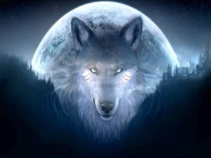 wolf wallpaper | Awesome wallpapers | Pinterest | Wolves ...