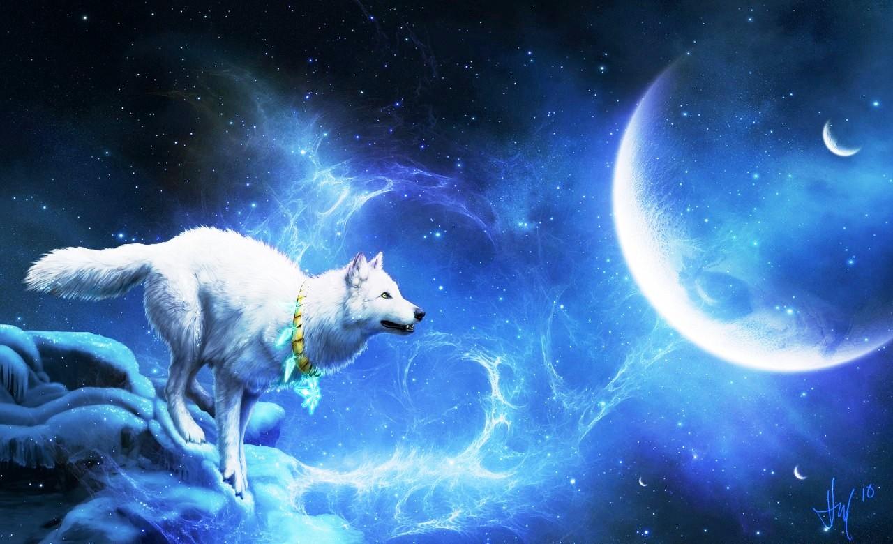 WHITE WOLF AND BLUE MOON WALLPAPER - (#75535) - HD Wallpapers ...