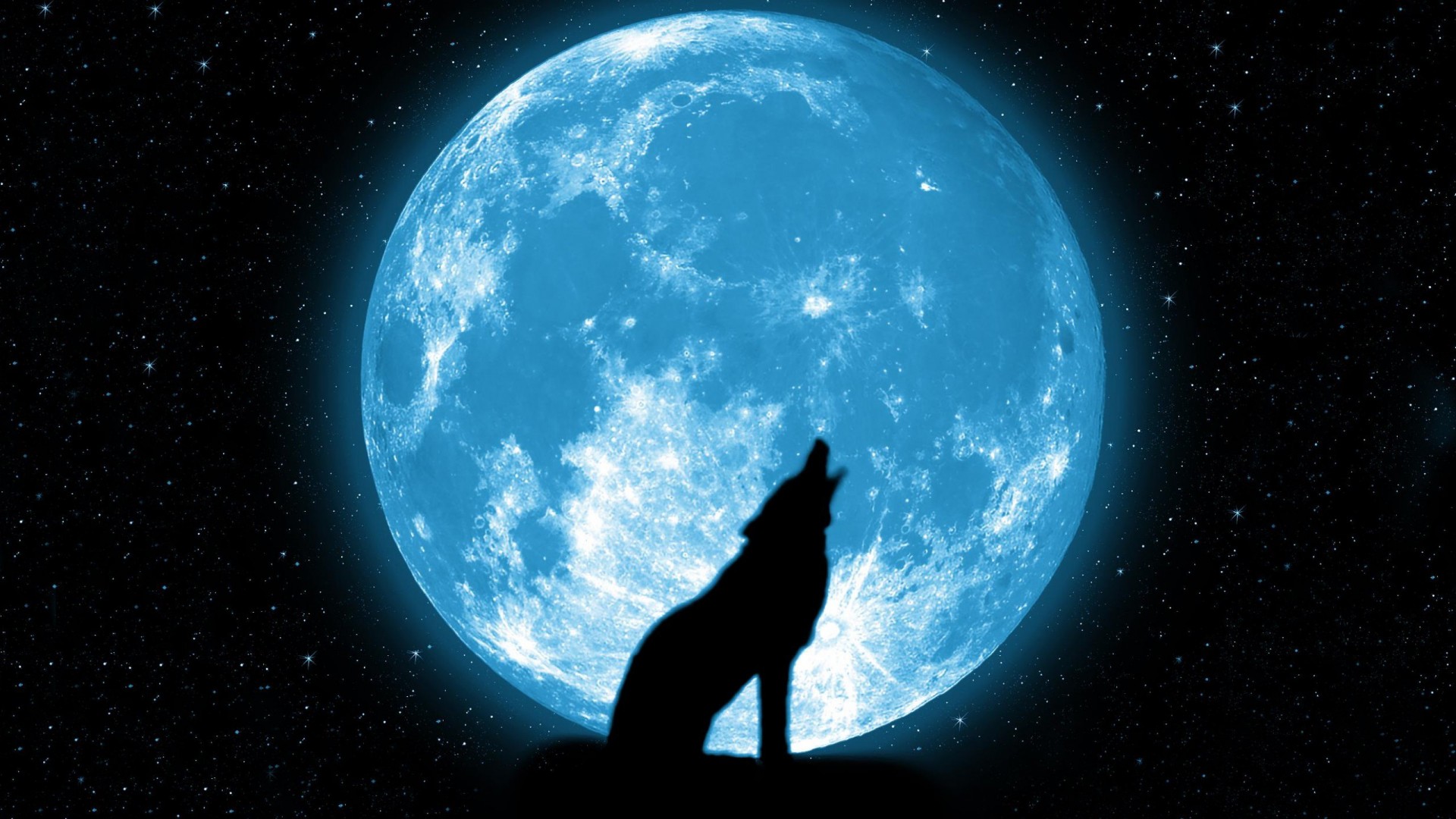 Wallpaper Night, Sky, Moon, Wolf, Stars, Wolf Howling At The Moon ...