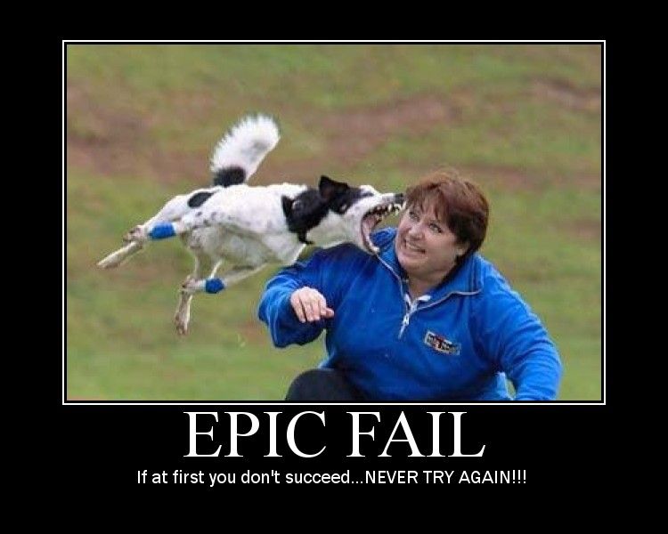 Epic Horse Fail Pictures 19 Free Wallpaper - Funnypicture.org