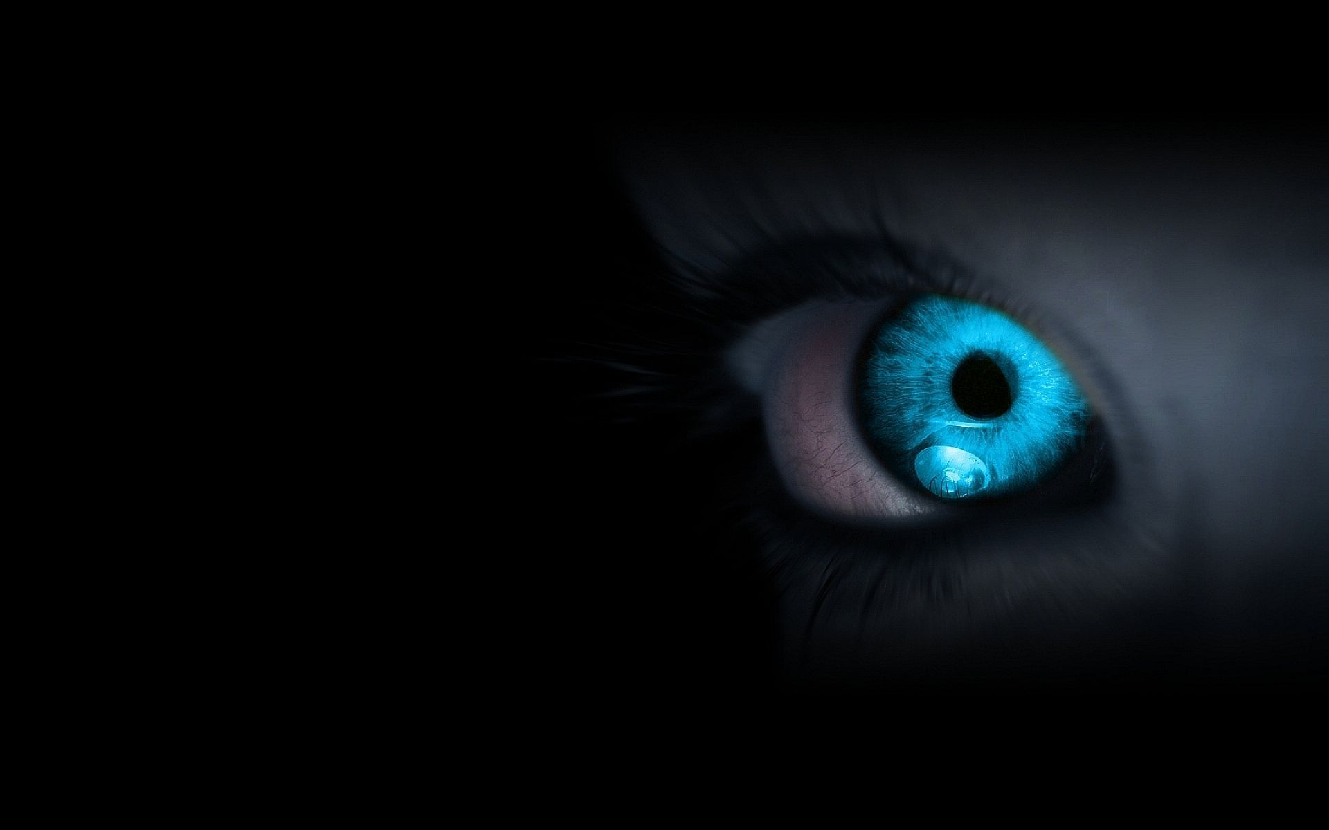 Blue eyes Creature Wallpapers Pictures