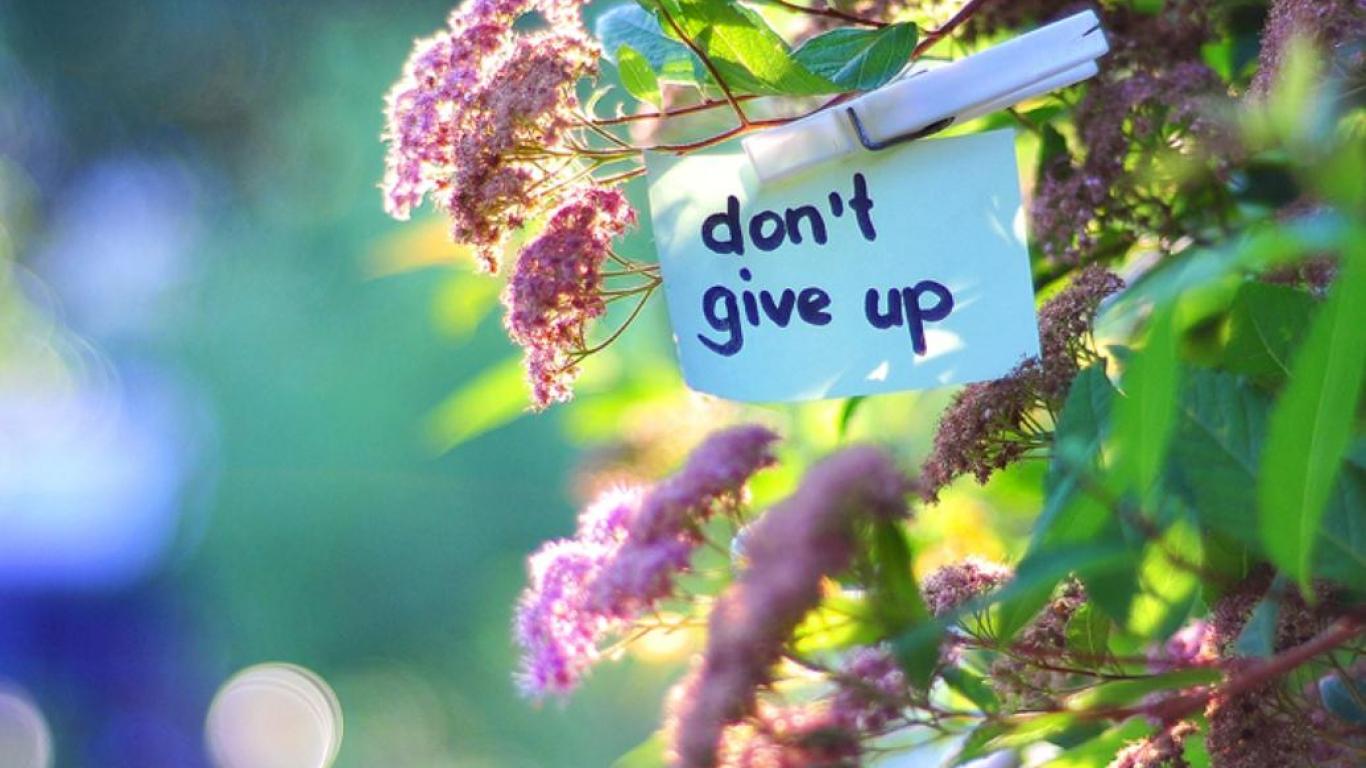 DON T GIVE UP WALLPAPER - - HD Wallpapers
