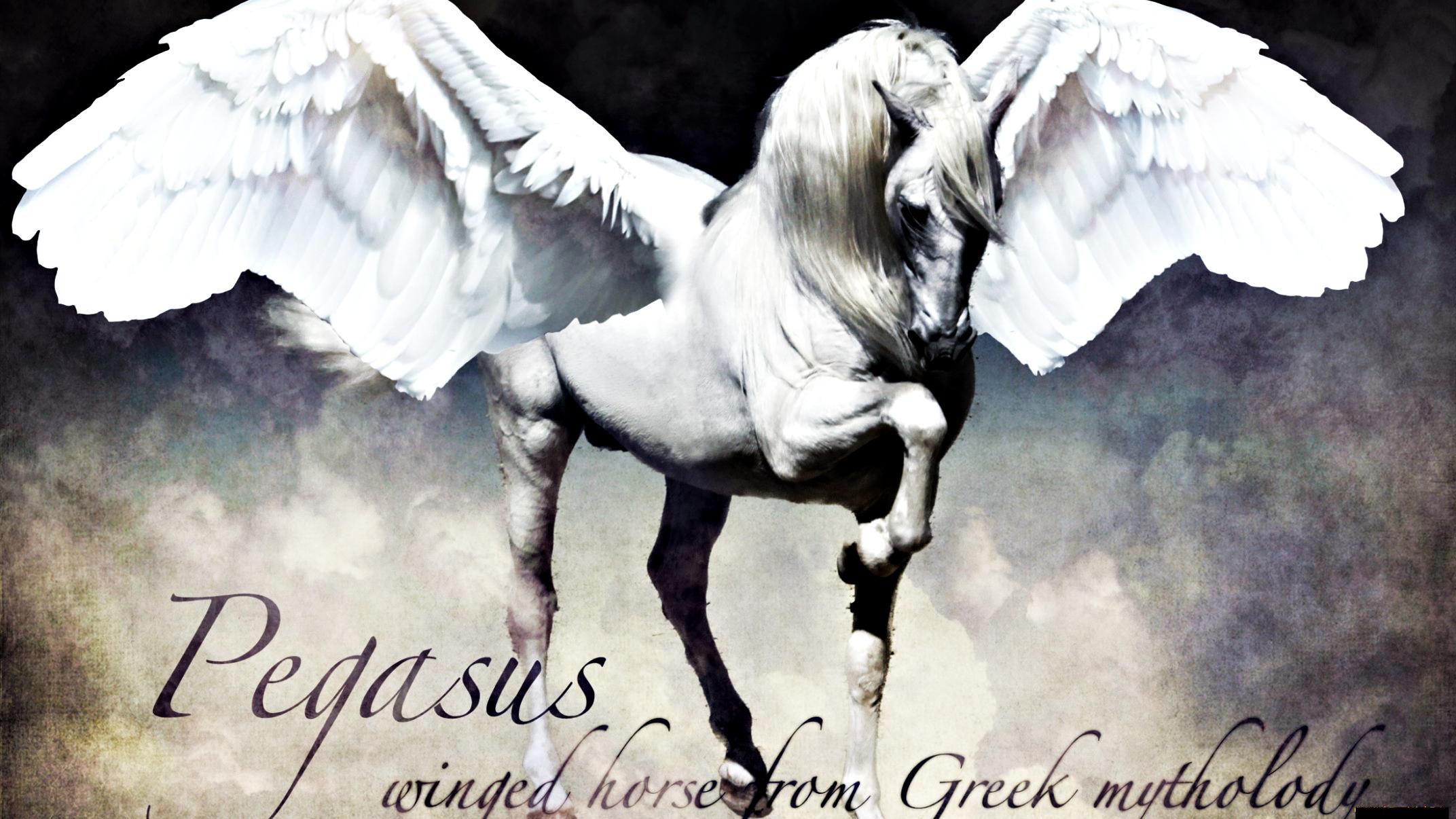 Pegasus >> HD Wallpaper, get it now!