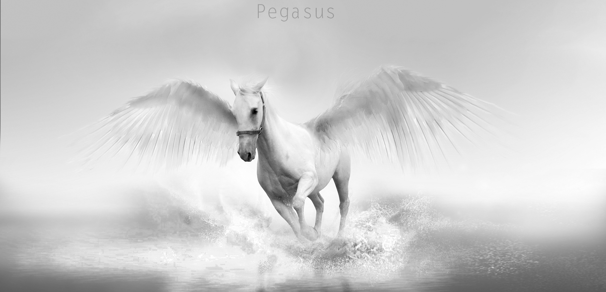 37 Pegasus HD Wallpapers | Backgrounds - Wallpaper Abyss - Page 2
