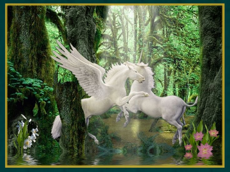 Unicorn and Pegasus Backgrounds | Unicorn and Pegasus Wallpaper ...