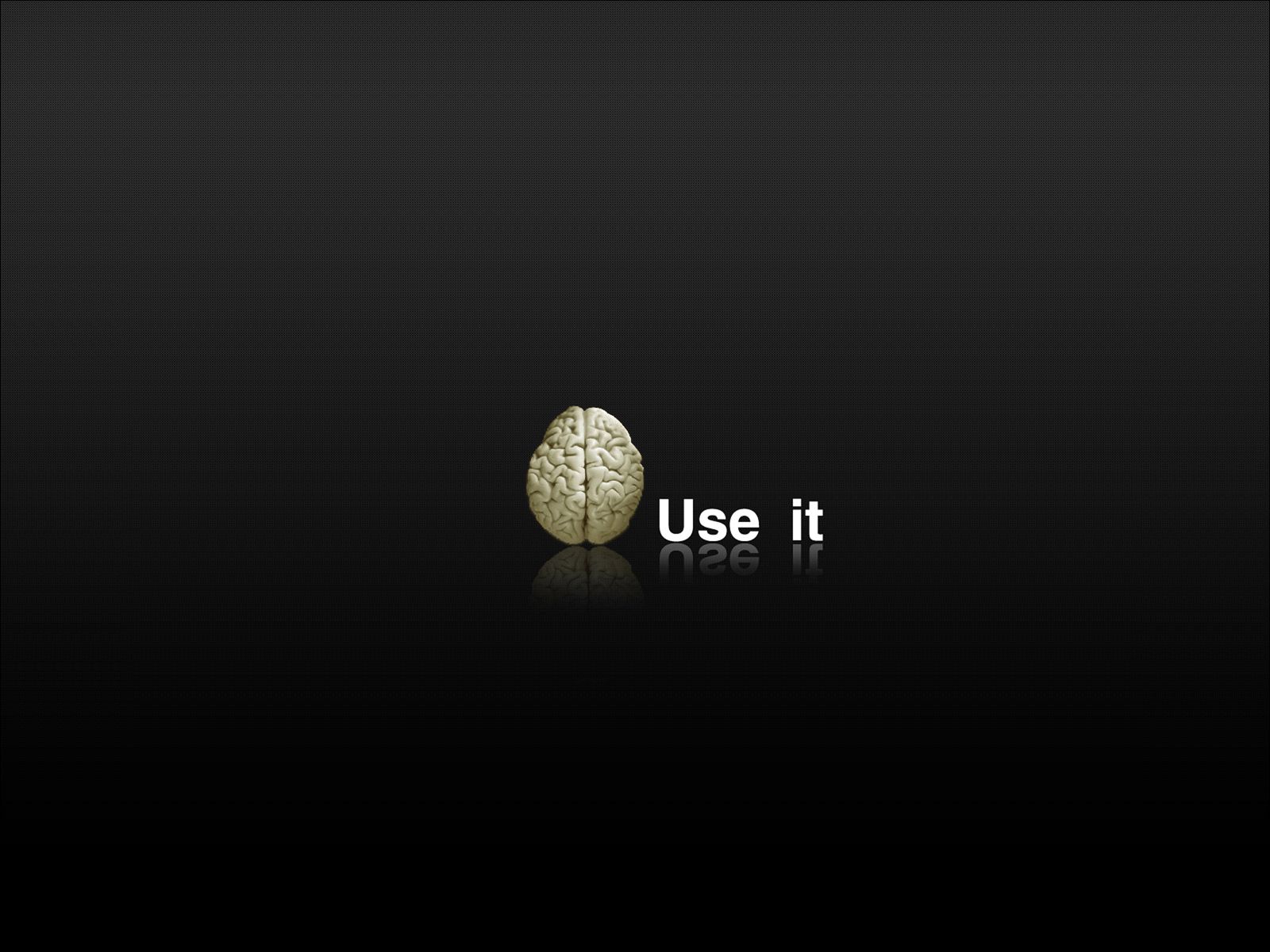 The Brain - Use it or Lose it wallpapers