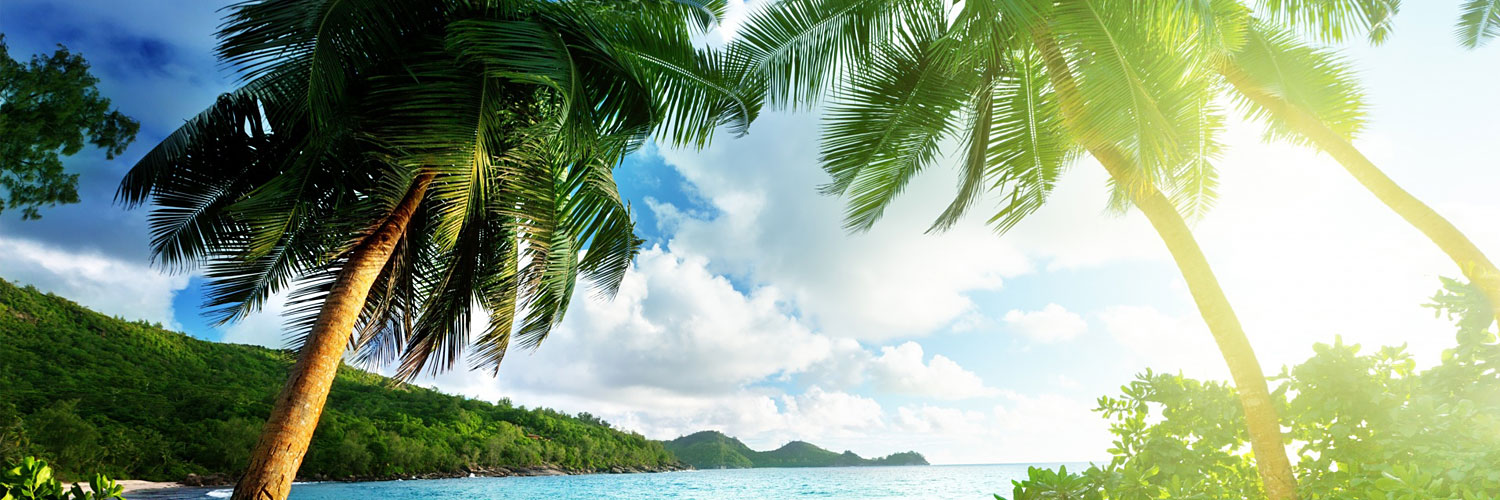 Exotic Island Twitter Cover & Twitter Background | TwitrCovers