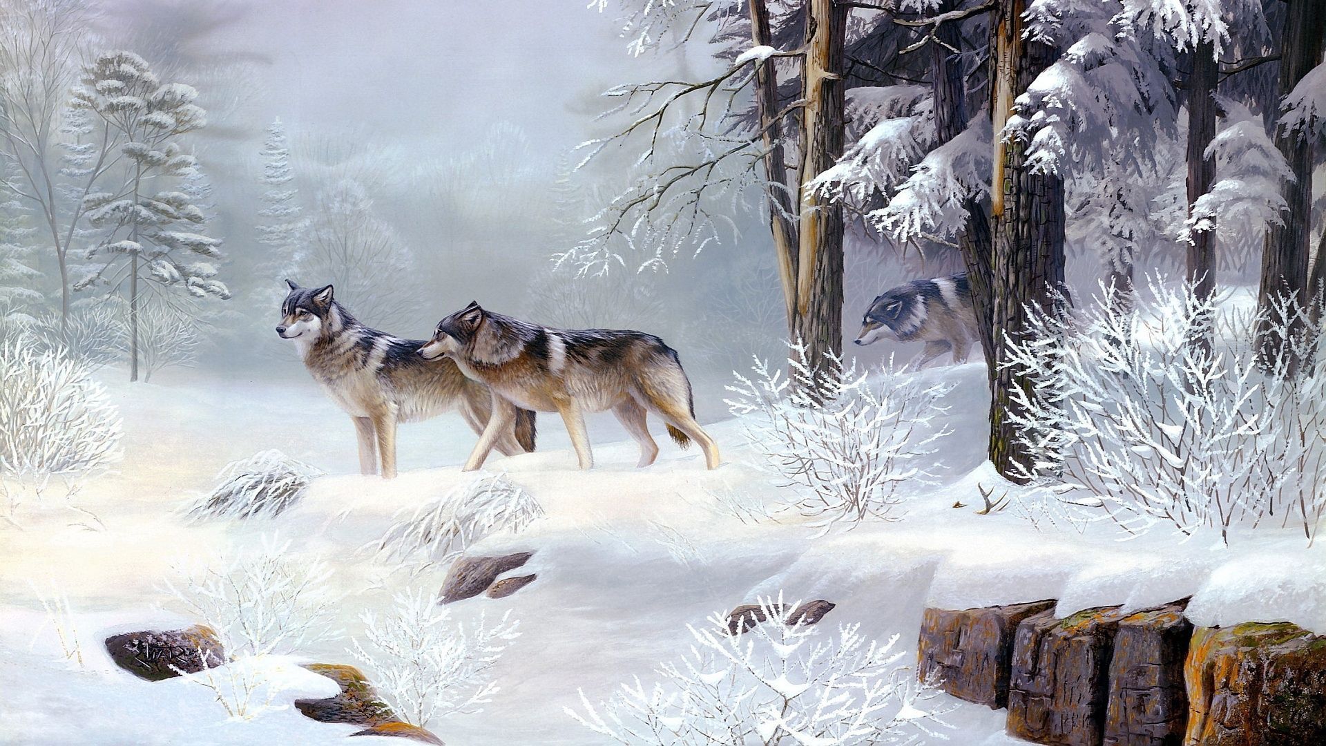 3065 Winter Wolf Background Wallpaper - WalOps.com